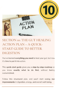 The Gut Healing Action Plan - A Quick-Start Guide to Better Digestion