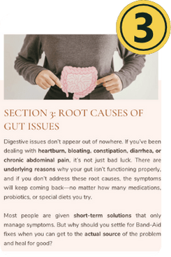 Root Causes of Gut Issues