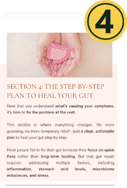 The Step-By-Step Plan To Heal Your Gut