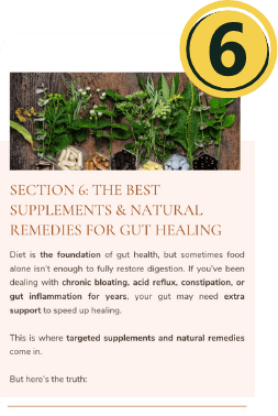 The Best Supplements & Natural Remedies For Gut Healing